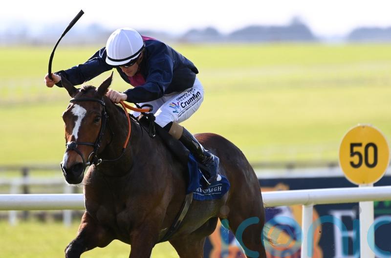 Insinuendo motors to Park Express success at the Curragh Racecourse