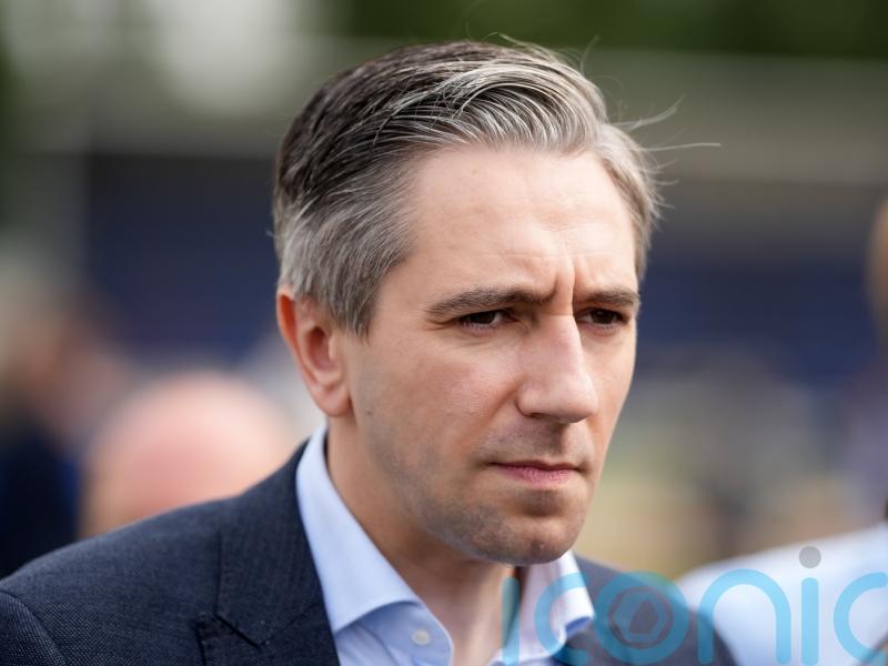 Government to ‘reflect’ on inquiry calls over alleged abuse by Michael Shine