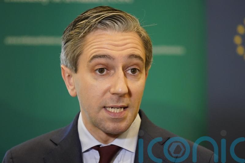 Rotation of Irish peacekeepers in Lebanon &lsquo;will be done safely&rsquo;