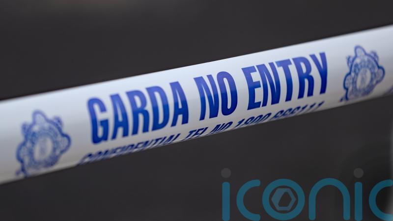 Murder investigation launched into death of man in Bray