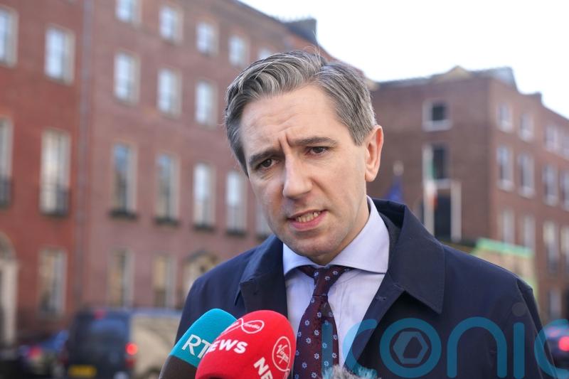 Ireland highly likely to face significant period of economic turbulence – Harris
