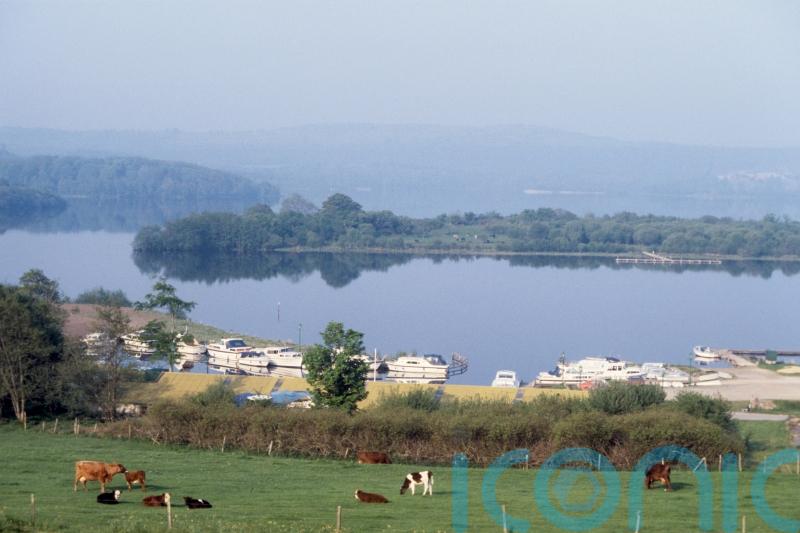 Vigilance urged as quagga mussel discovered for first time in NI