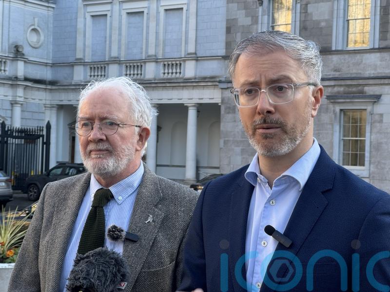 Government needs to confirm &lsquo;today&rsquo; AI legislation strong enough &ndash; Green Party