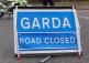 Victim of hit and run dies in hospital this morning as Garda&iacute; appeal for witnesses